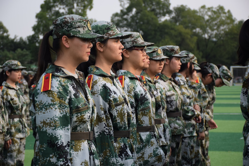 图片5 图片5
