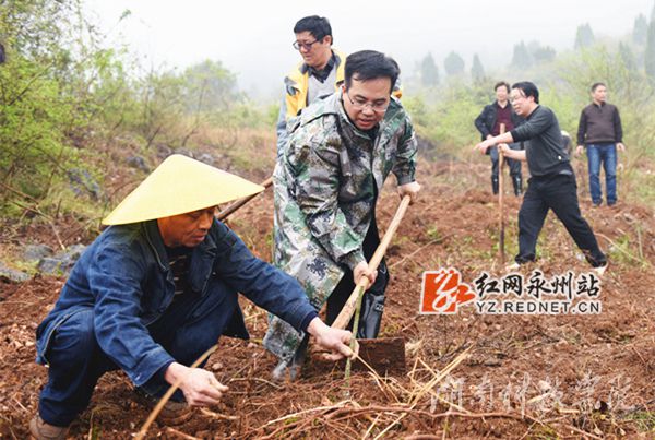 beat365平台唯一官网党委书记陈弘与潮水铺村村支书一同种下金槐树苗
