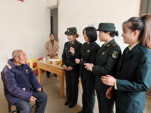 图片7