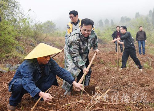 beat365平台唯一官网党委书记陈弘与潮水铺村村支书一同种下金槐树苗。